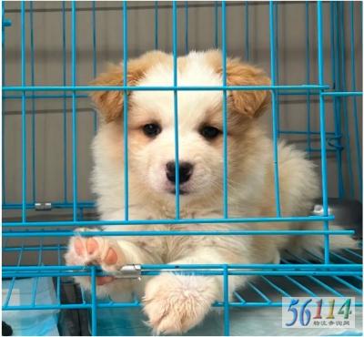 �谮èȮ���������