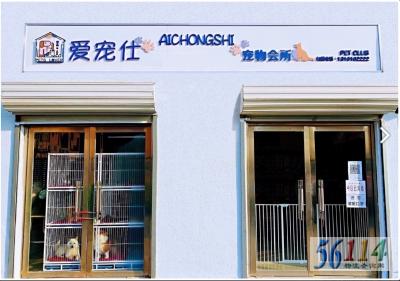 �����˳�������