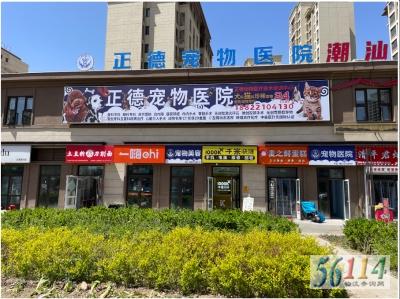 ���³�������