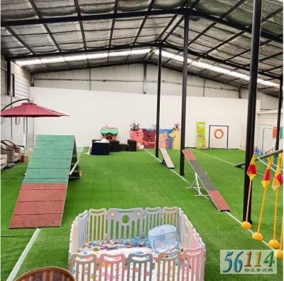 ״Ԫ�������