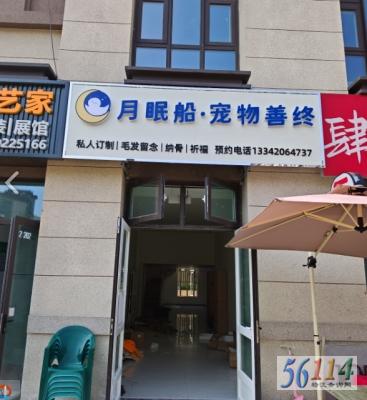 ���ߴ���������