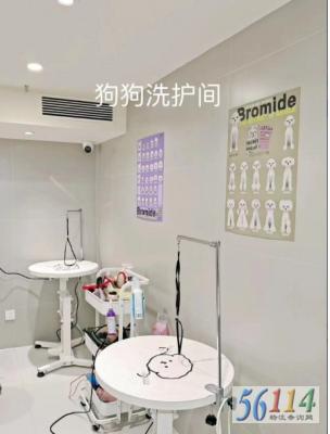 ���Ƴ�������