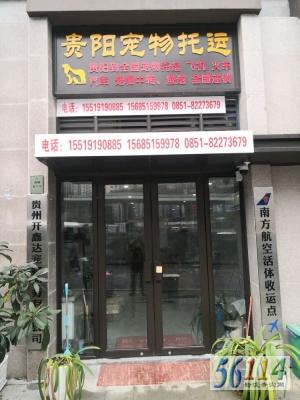 ���δ��������