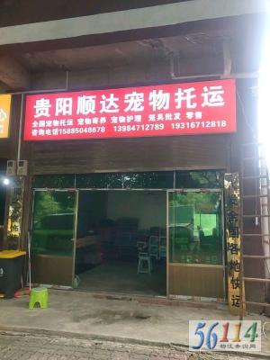 ˳���������