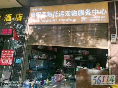 ��ƽ��������