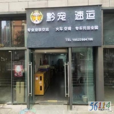 ǭ���������