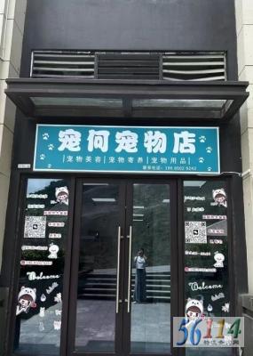 ��γ�������