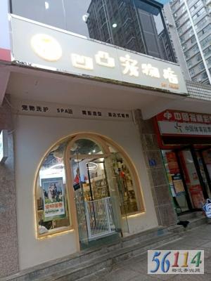 ��͹��������