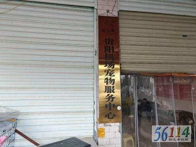 �����γ�������