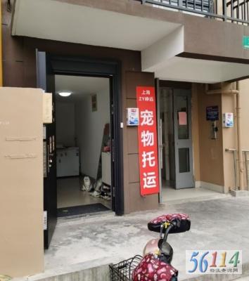 �Զ��������