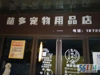 �ȶ��������