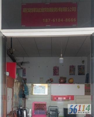 ���ѳ������˹�˾