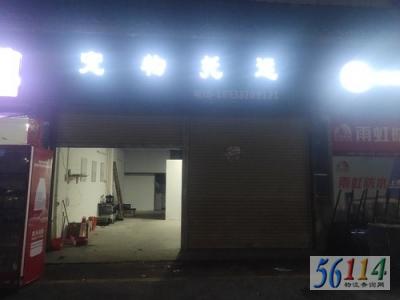 ���γ�������