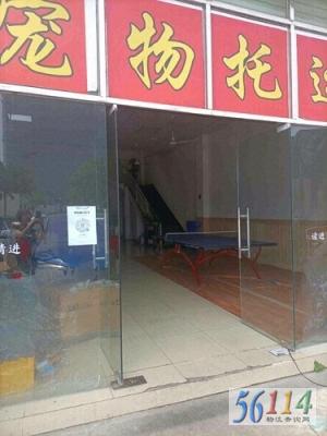 �۰ĳ�������