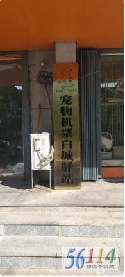 �豦��������