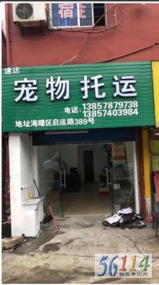 �ٴ��������