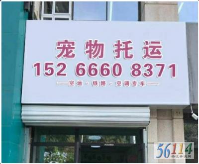 ���ٴ��������