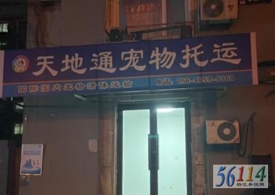 ���ͨ��������