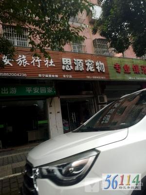 ˼Դ��������