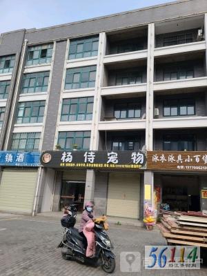 ���̳�������