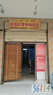 ��ʥ�������