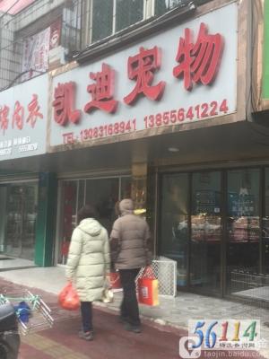 ���ϳ�������