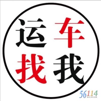 �ֵ���������