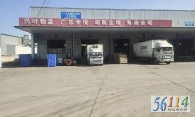 �人����Ҷ��������