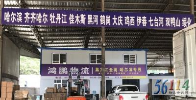 ���ʺ�������