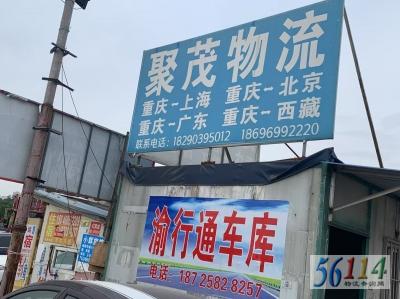 ��ï����